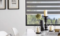 vision blinds